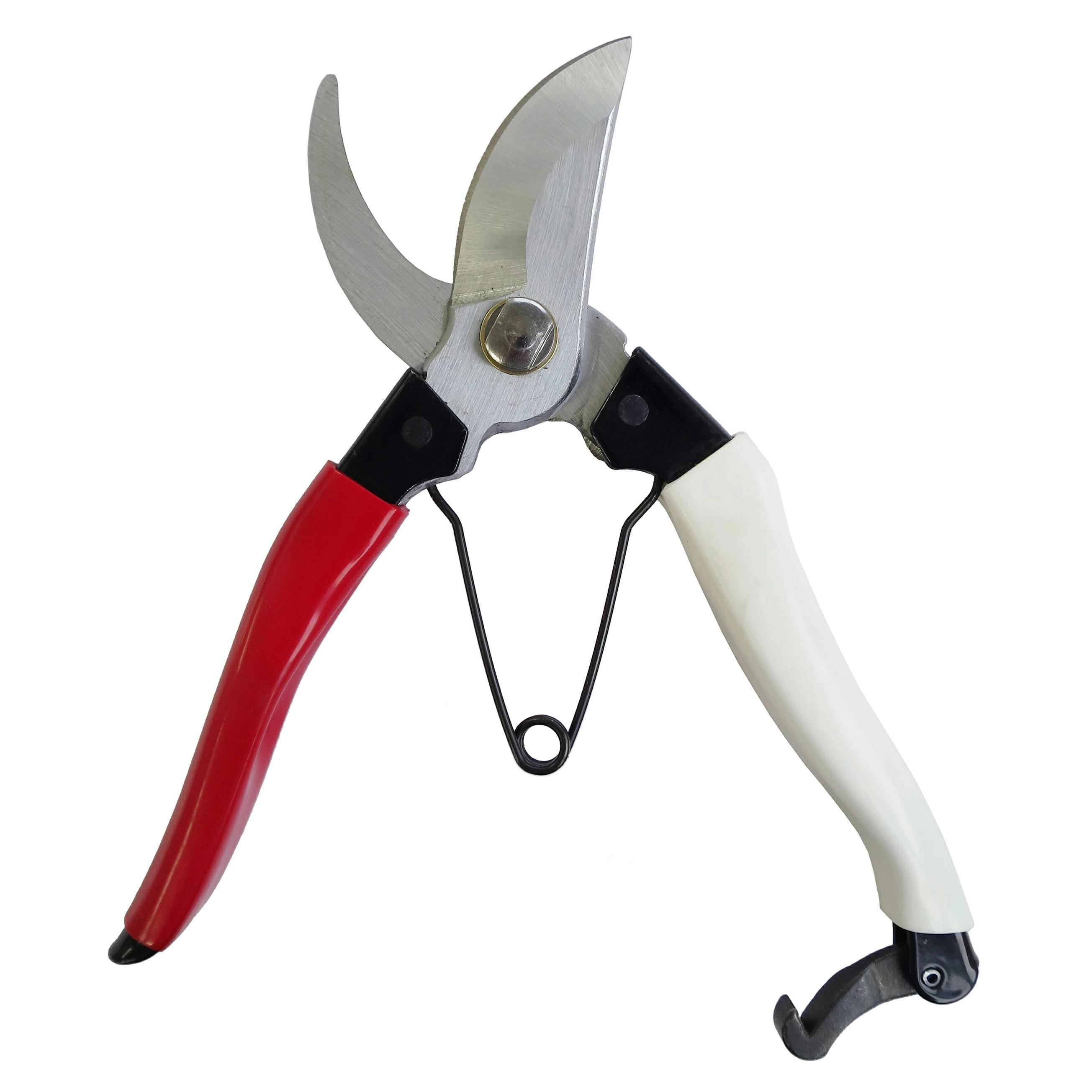 剪定ばさみ 約30cm 楽天市場】＼BLACK FRIDAY限定！最大15％OFFクーポン／ 剪定ばさみ