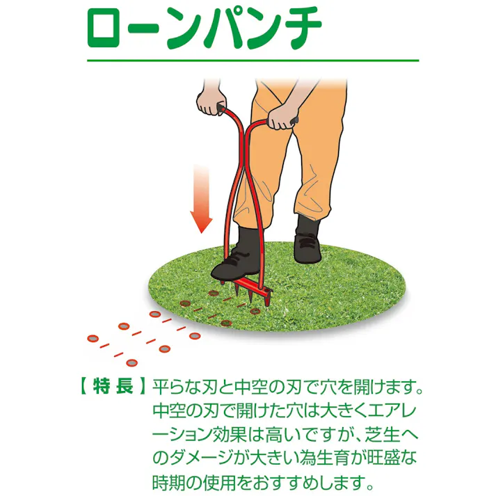 EVER GREEN ローンヘルパー(二本刃+テーパー管 二本タイプ)大進 園芸 ガーデニング 女性 庭 農作業 エアレーション シバ 手入れ 芝 芝スパイク 芝 芝生 シバ エアレーション 活性化 手入れ 芝手入れ お手入れ 手軽 ガーデンスパイク 芝生 芝生スパイク 4939736501108