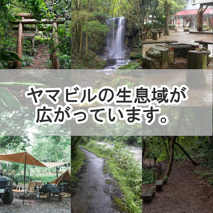 ヤマビルキラー液剤 1L