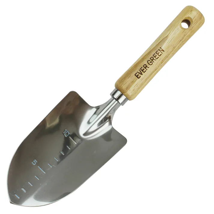 大進 木柄ステンレススコップ(太)園芸 ガーデニング 農業 女性 庭 農作業 家庭菜園 用具 工具 園芸 ガーデニング 農業 女性 庭 農作業 家庭菜園 用具 工具 スコップ ショベル シャベル 軽量 軽い さびにくい 軽量 軽い 4939736501719