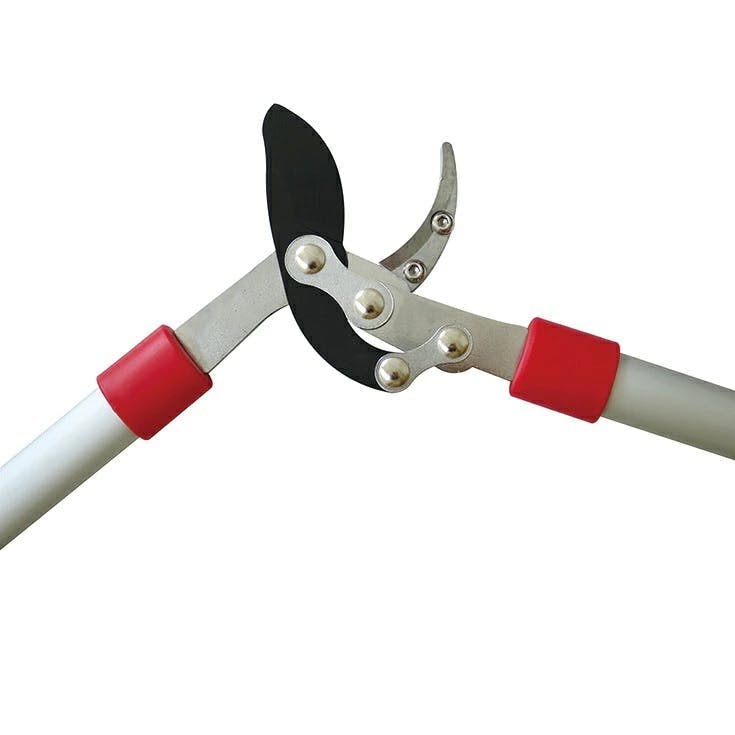 Ai 檜 切り株 縦割り 高さ約25㎝ Ai 檜 切り株 縦割り 高さ約25㎝ 皮