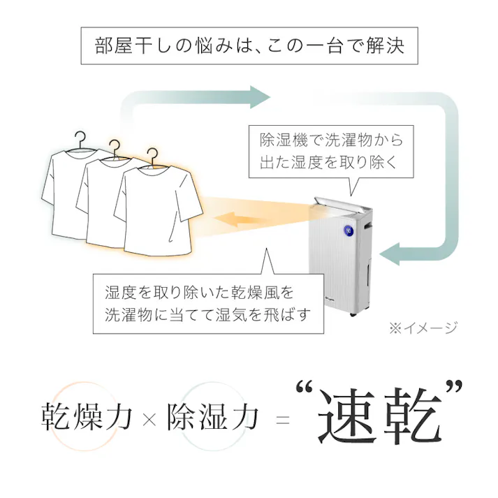 ライシン ルーバー付き 除湿機 ブラック 最大除湿量19L/日 タンク容量5.5L 空気清浄機能付 コンプレッサー 式 ルーバー 空気清浄機能 付き 大容量 パワフル 衣類乾燥 省エネ コンパクトタイマー タッチパネル 連続排水 スリープ 自動霜取り 除湿 除湿器 乾燥機 乾燥器 カビ 対策 黒