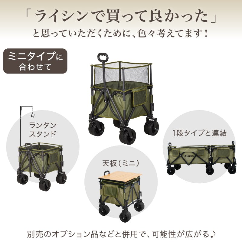 ライシン アウトドアワゴン Eシリーズ ミニ ブラック 最大110L 拡張