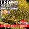 KOZUMUWAN【日本現地法人】 LEDネットライト 360球 2M3M イルミネーションライト クリスマスライト ネットライト 定番 防雨 連結可 コントローラ付 メモリ記憶 8点灯パターン 防雨型屋外使用可能 保証付 (ホワイト)