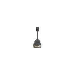 DisplayPort-DVI-D変換アダプター 目安在庫=○ パソコン・周辺機器 DisplayPort-DVI-D変換アダプター 目安在庫=○ パソコン・周辺機器