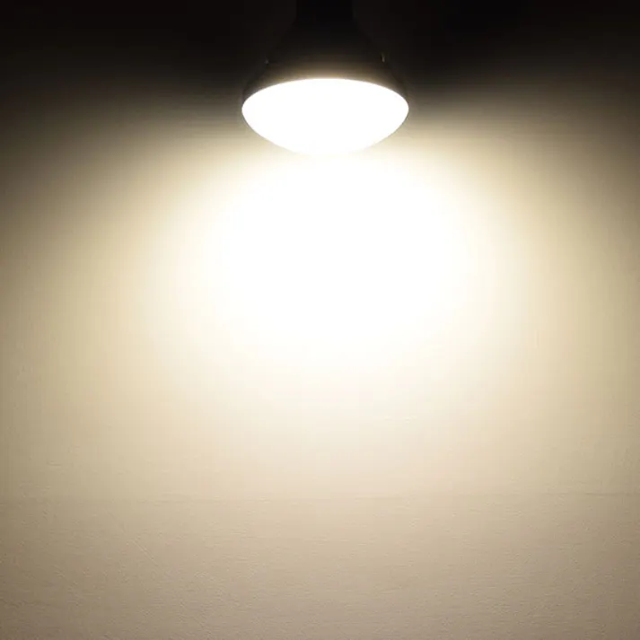 LED電球 E26 160形相当 防塵 防水 仕様 IP65 高演色Ra92 フリッカーフリー 電球色3000K BH-1526B-BK-WW-Ra92