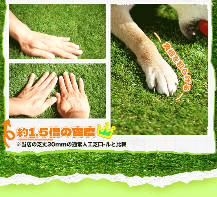 ②幅200×長さ210【ペット用高級人工芝】端切れ　長方形サイズ 人工芝専用 サンプル 単品〔50900099〕 — 【公式】タンスのゲン