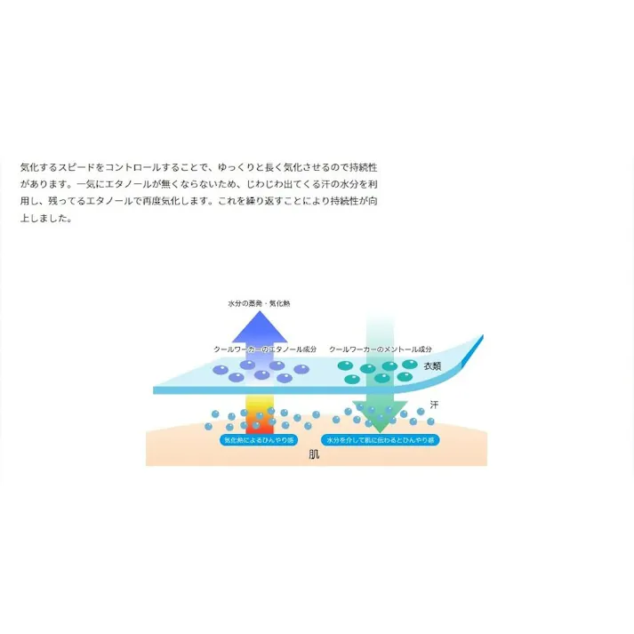 東神電気 クールワーカー 冷感持続スプレー PRO仕様猛暑・熱中症対策 無香料 TCW-950ML3 4580519170570