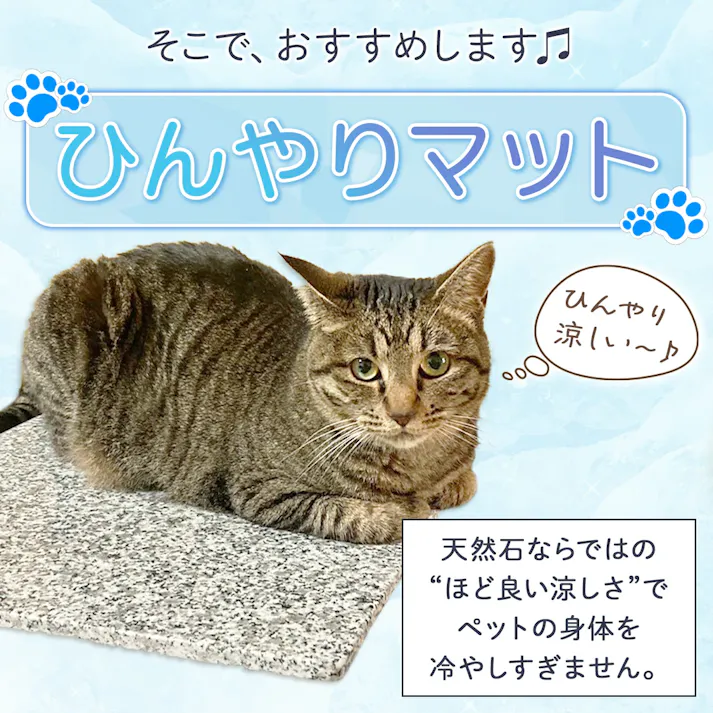 天然石 【ひんやりマット】 【40x40cm】【1枚】 冷たい 洗える 丈夫 天然石 ペット 犬 猫 うさぎ いぬ ねこ イヌ ネコ 小型犬 大型犬 ベッド 冷却 涼感 涼しい クールベッド クールマット シート 夏用 夏 暑さ対策 グッズ 夏対策 ペット用品 ペットマット 石