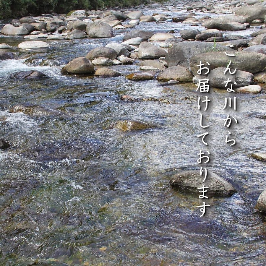 玉砂利 川玉砂利 20～40mm】 【20kg】 砂利 防犯砂利 砂利 庭 砂利敷き