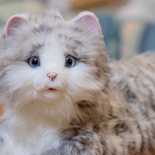 ロリポップ♡ねこちゃん しっぽふりふり あまえんぼうねこちゃん アイスグレー しっぽの動きと