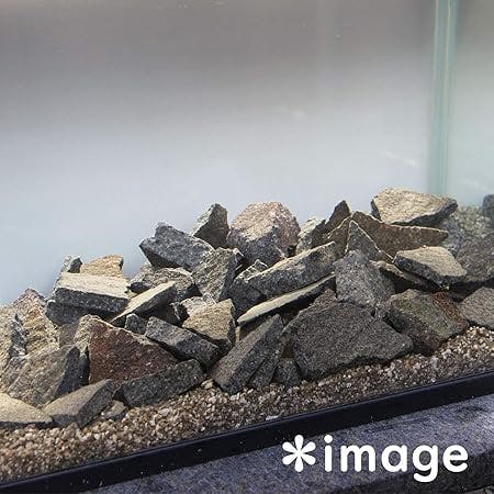 輝岩石 サイズSS】【2kg入り】誰もが選ぶ水槽を飾るのに最適な石 国産