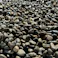 TAIKOH 御浜砂利 5分 10-20mm 10kg 国産 化粧砂利 グレー 黒 ブラック 玉石 中