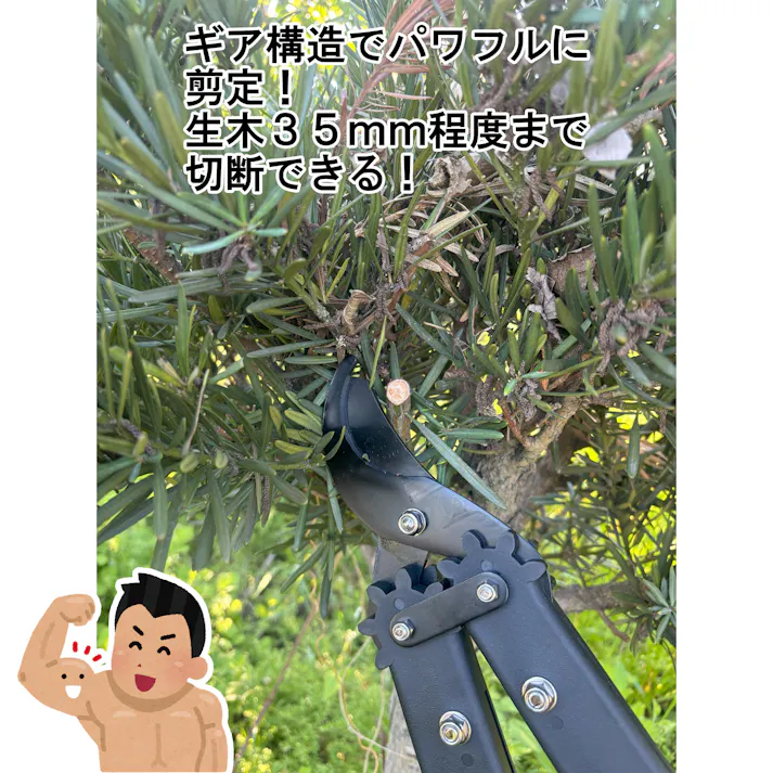 大進 収納に便利な太枝切鋏 太枝切り鋏 剪定 枝 庭木 手入れ はさみ ハサミ エダ 強力 大進 園芸 ガーデニング 農業 女性 庭 農作業 家庭菜園 用具