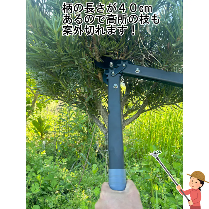 大進 収納に便利な太枝切鋏 太枝切り鋏 剪定 枝 庭木 手入れ はさみ ハサミ エダ 強力 大進 園芸 ガーデニング 農業 女性 庭 農作業 家庭菜園 用具