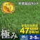 【ARTTOWN】 人工芝 固定ピン付属 【35-003】 芝丈35mm 2×5mロール 【配送_大型】