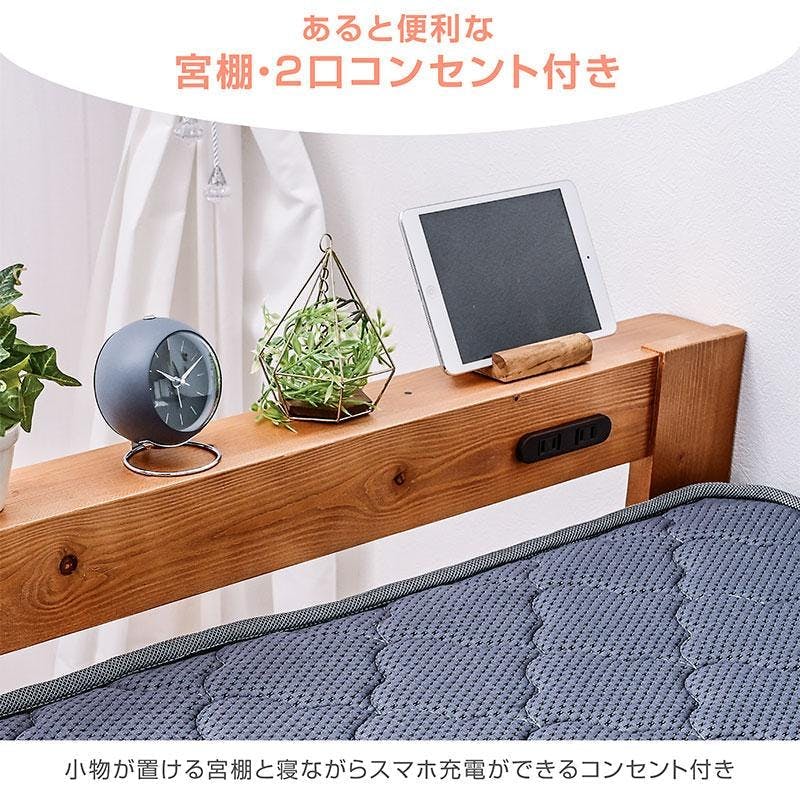 【#2459】ココスヤシ　2ヘッド　ダブルヘッド momiji ココスヤシ2本 2459】ココスヤシ 2ヘッド ダブルヘッド