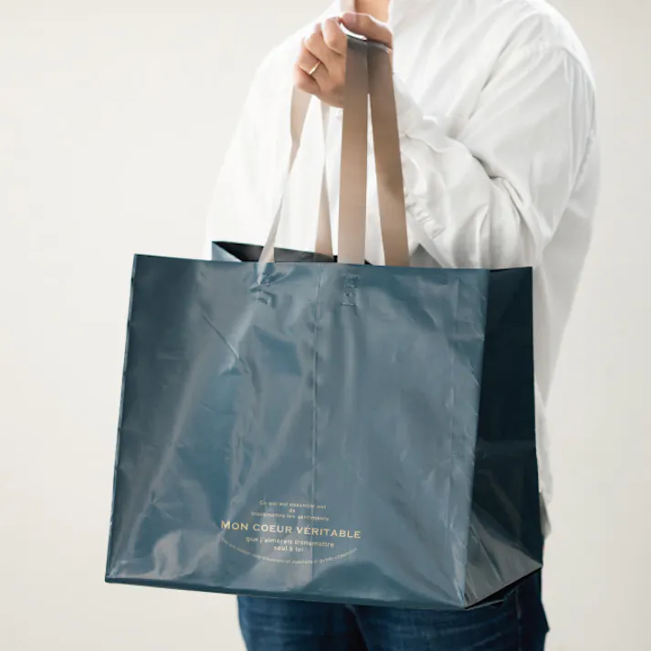 ヘッズ 袋-PE-ハンドル付 W420×D290×H360mm 20枚 HEADS ALN-2LB