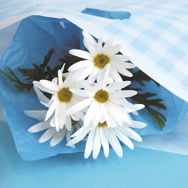 ヘッズ 袋-PE-小判 W300×D50×H450mm 100枚 HEADS BC-3E