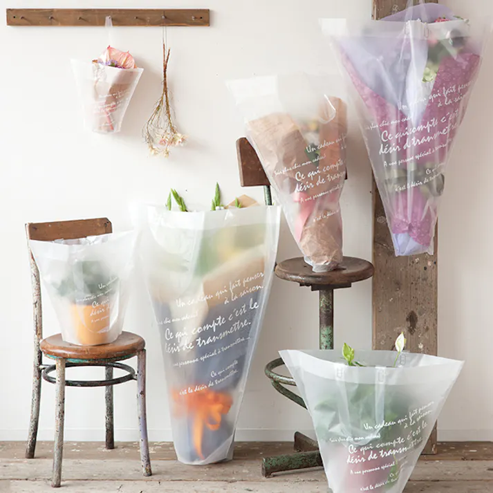 ヘッズ 袋-PE-ハンドル付 W550(120)×H600mm 20枚 HEADS BKF-1XB