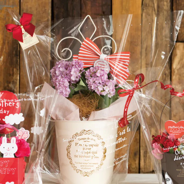 ヘッズ 袋-PP-台形 W650(305)×D160×H580mm 50枚 HEADS BKF-OPCL