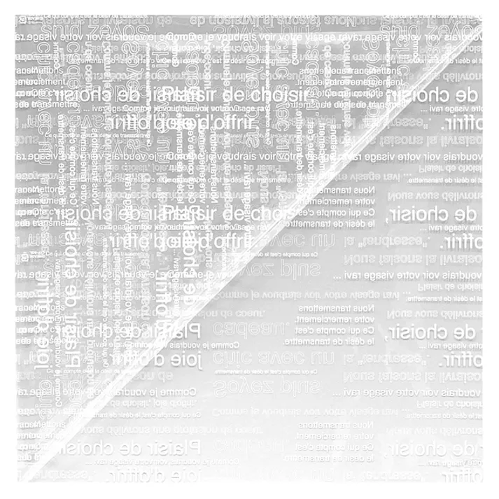 ヘッズ 袋-PP-その他 W400×H400mm 50枚 HEADS CAF-SQL