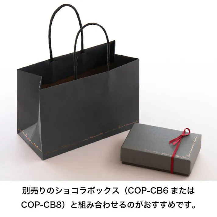 ヘッズ 袋-紙-ハンドル付 W190×D90×H130mm 10枚 HEADS COP-M1P