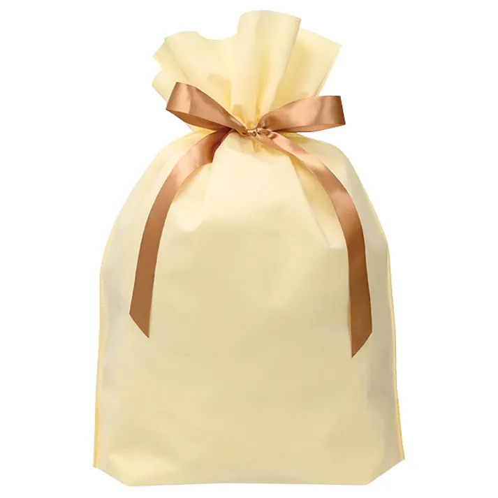 ヘッズ 袋-不織布-巾着 W450×D150×H630mm 10枚 HEADS DFC-RBL