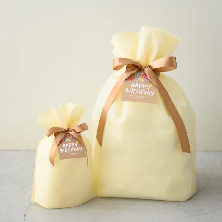 ヘッズ 袋-不織布-巾着 W450×D150×H630mm 10枚 HEADS DFC-RBL