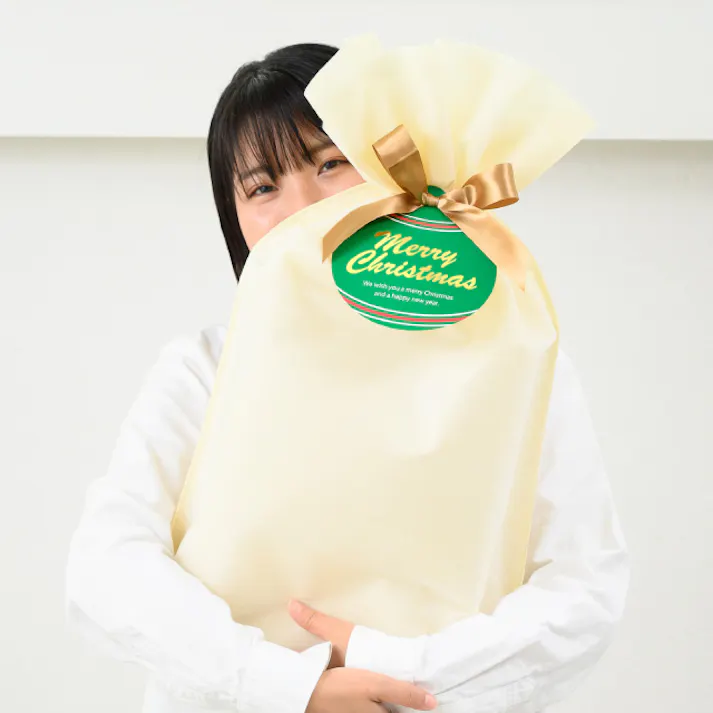 ヘッズ 袋-不織布-巾着 W450×D150×H630mm 10枚 HEADS DFC-RBL