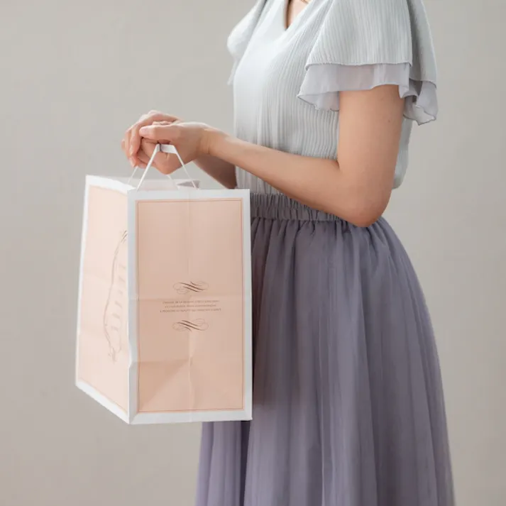 ヘッズ 袋-紙-ハンドル付 W350×D220×H320mm 50枚 HEADS EGS-MP