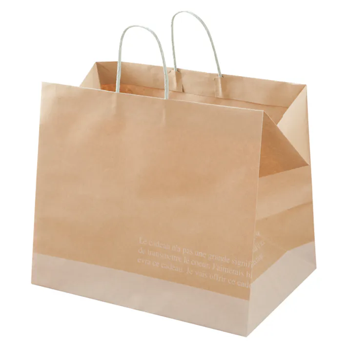 ヘッズ 袋-紙-ハンドル付 W420×D290×H360mm 10枚 HEADS FR-1P