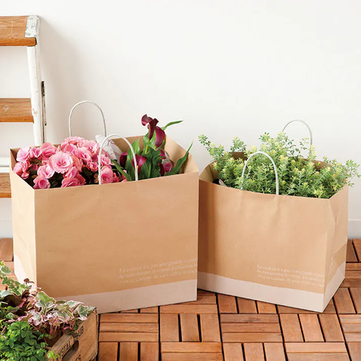 ヘッズ 袋-紙-ハンドル付 W420×D290×H360mm 10枚 HEADS FR-1P