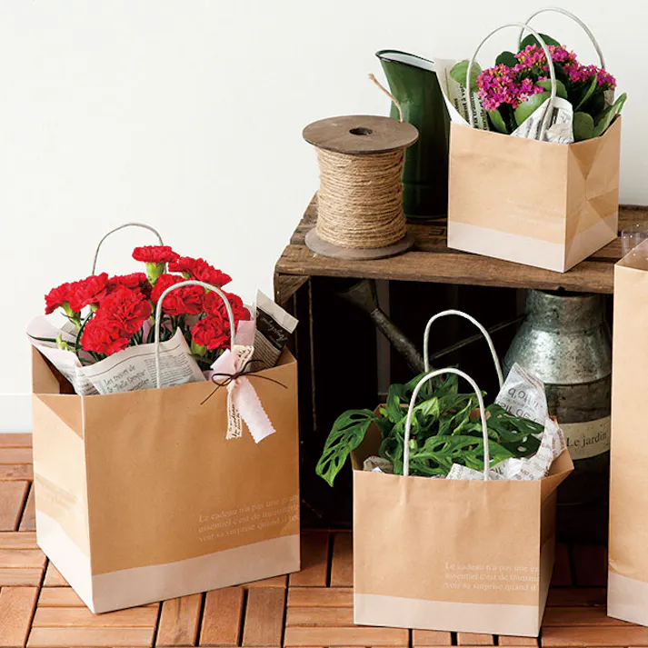 ヘッズ 袋-紙-ハンドル付 W420×D290×H360mm 10枚 HEADS FR-1P