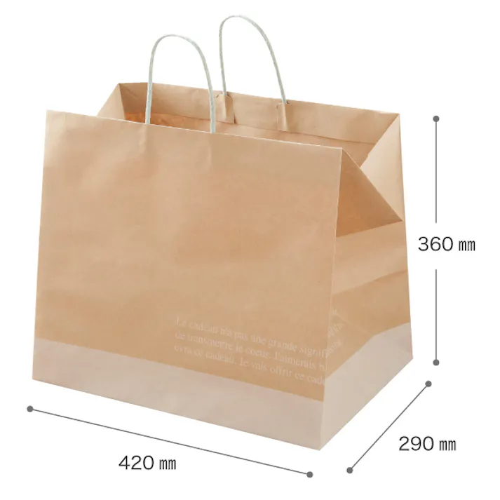 ヘッズ 袋-紙-ハンドル付 W420×D290×H360mm 10枚 HEADS FR-1P