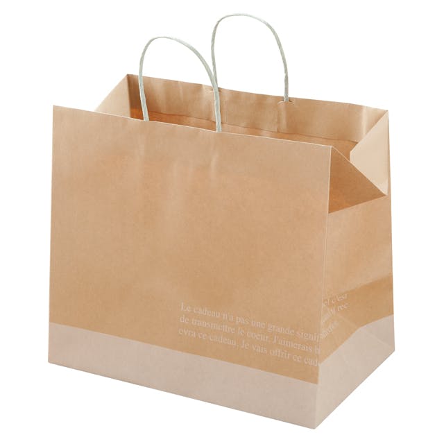 ヘッズ 袋－紙－ハンドル付 W350×D220×H310mm 10枚 HEADS FR-2P