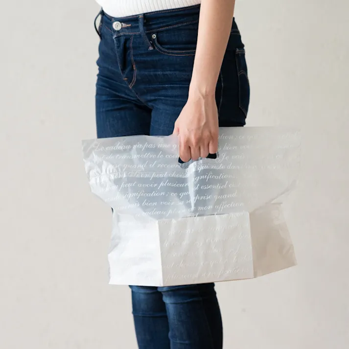 ヘッズ 袋-PE-小判 W405×D160×H280mm 100枚 HEADS FR-MG