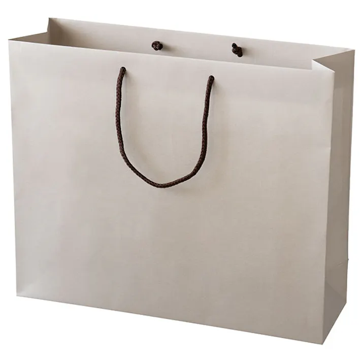 ヘッズ 袋-紙-ハンドル付 W480×D150×H400mm 10枚 HEADS GSB-1P