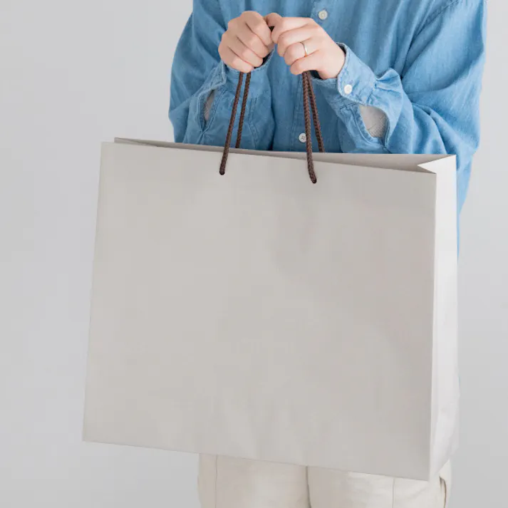 ヘッズ 袋-紙-ハンドル付 W480×D150×H400mm 10枚 HEADS GSB-1P