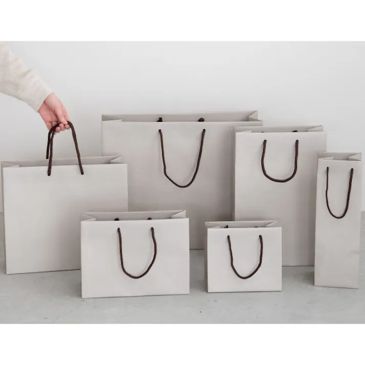 ヘッズ 袋-紙-ハンドル付 W295×D115×H215mm 10枚 HEADS GSB-3P