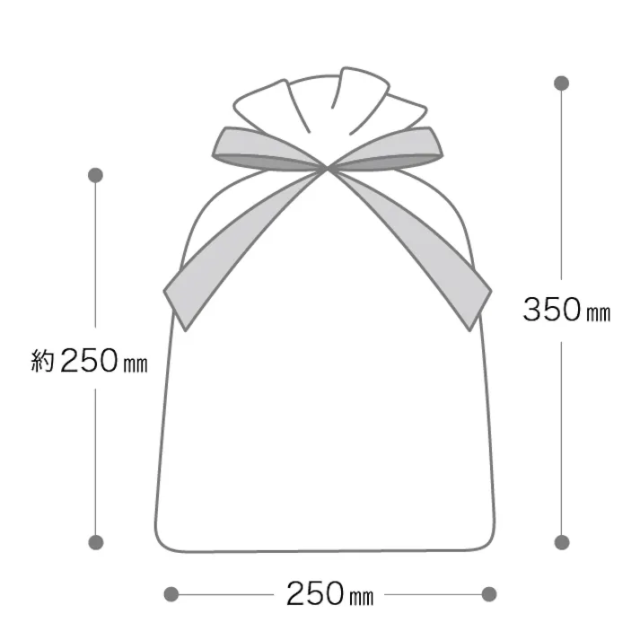 ヘッズ 袋-布-巾着 W250×H350mm 10枚 HEADS OGC-BLL