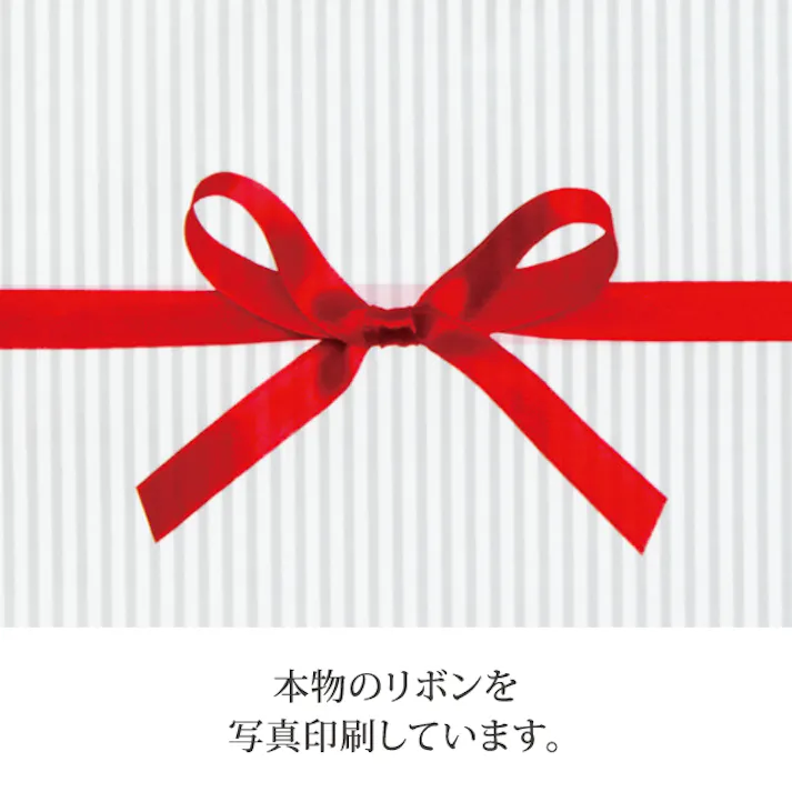 ヘッズ 袋-PP-その他 W225×H315+30(テープ部)mm 50枚 HEADS RI-TO2