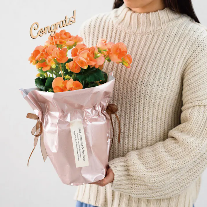 ヘッズ 袋-不織布-巾着 W410(205)×D120×H265mm 10枚 HEADS SHP-RIF5