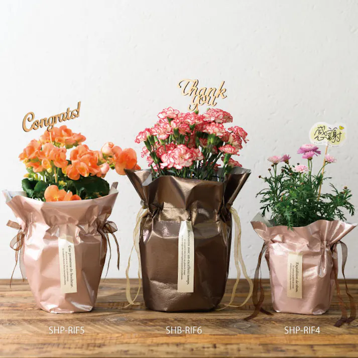 ヘッズ 袋-不織布-巾着 W410(205)×D120×H265mm 10枚 HEADS SHP-RIF5