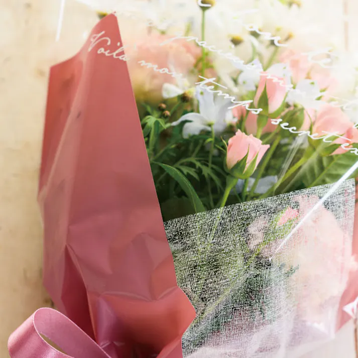 ヘッズ 袋-PP-台形 W300(170)×H370mm 50枚 HEADS WLP-BOP2