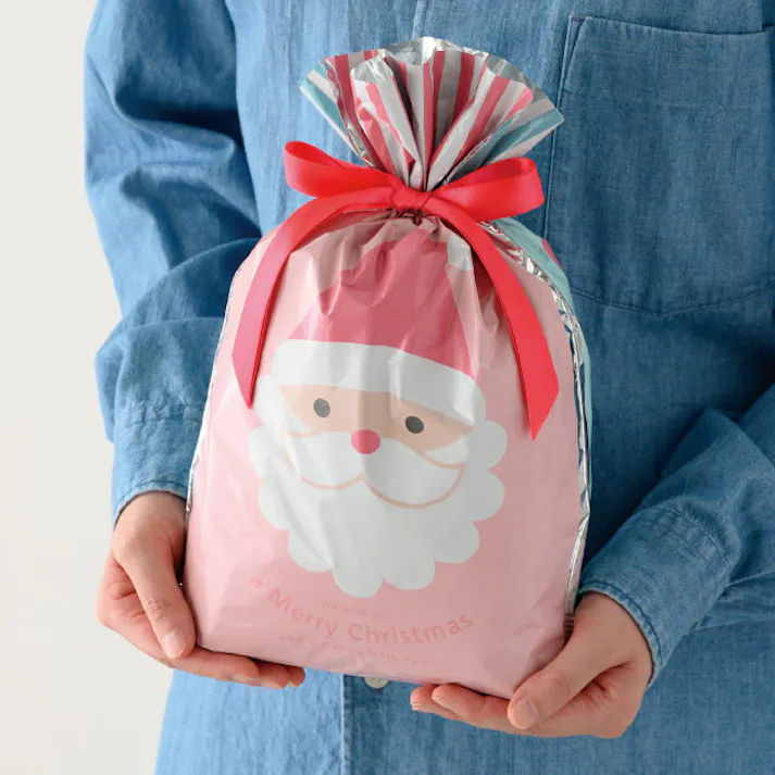 ヘッズ 袋-PP-その他 W240×D60×H350mm 20枚 HEADS XCM-RBS