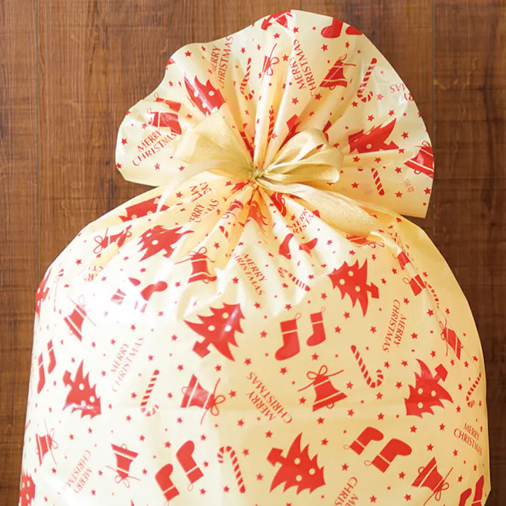 ヘッズ 袋-PE-平袋 W570×H900mm 20枚 HEADS XPC-BL