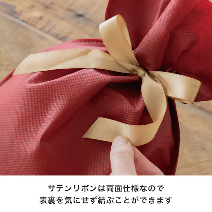 ヘッズ 袋-不織布-巾着 W380×H570mm 10枚 HEADS SFE-RBM