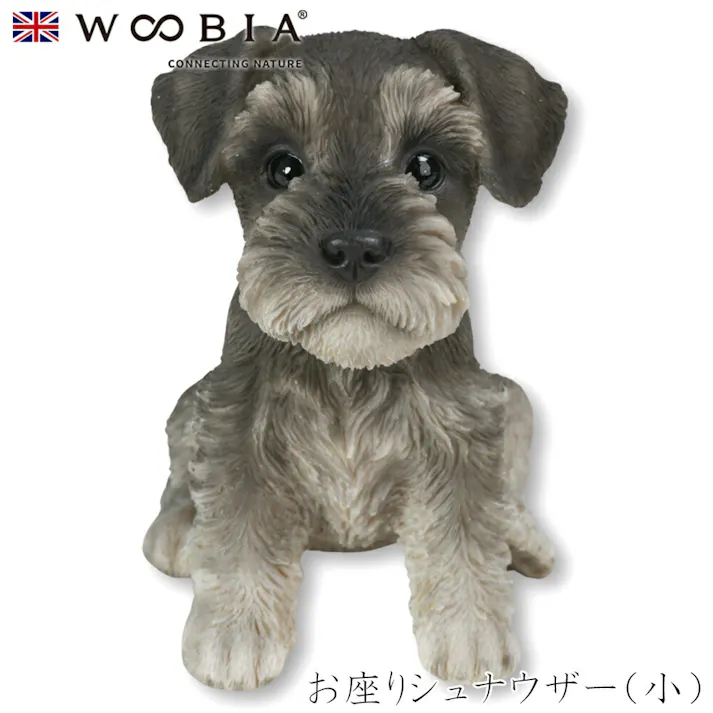 【Woobia(ウービア)】【お座りシュナウザー(小)】 (幅11.8cm×奥行9cm×高さ12.3cm)犬 いぬ イヌ ドッグ dog かわいい 置物 リアル 動物 おしゃれ インテリア ガーデニング イギリス 人形 オーナメント ペット #4582756137040