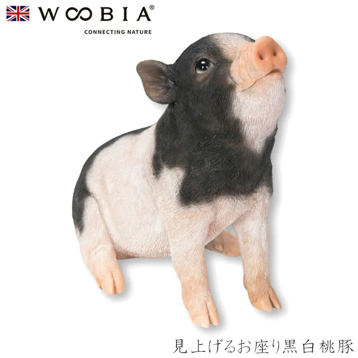 【Woobia(ウービア)】【見上げるお座り黒白桃豚】 (幅19cm×奥行8.3cm×高さ15cm)かわいい 置物 リアル 動物 おしゃれ インテリア ガーデニング イギリス 人形 オーナメント ペット #4582756137149/H21021-6